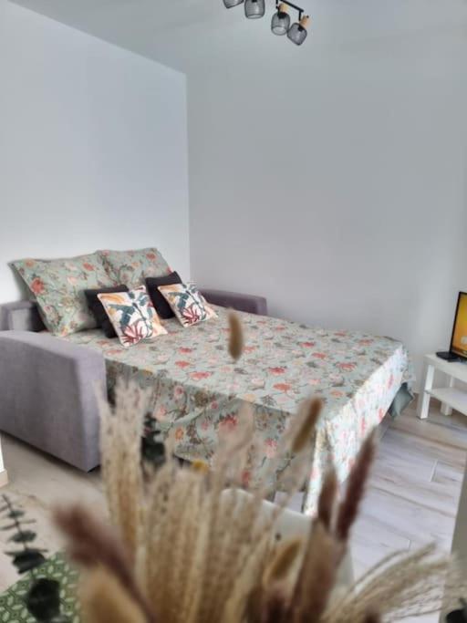 Holiday home Charmante Petite Maison *